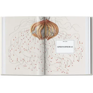 The Art and Science of Ernst Haeckel. 40th Ed. wer. angielska