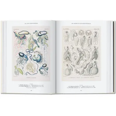The Art and Science of Ernst Haeckel. 40th Ed. wer. angielska