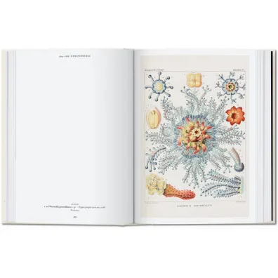 The Art and Science of Ernst Haeckel. 40th Ed. wer. angielska