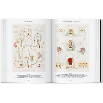 The Art and Science of Ernst Haeckel. 40th Ed. wer. angielska