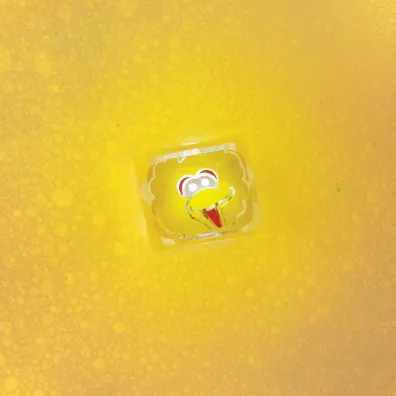 Glo Pals Kostki sensoryczne �wiec�ce w wodzie - Wielki Ptak