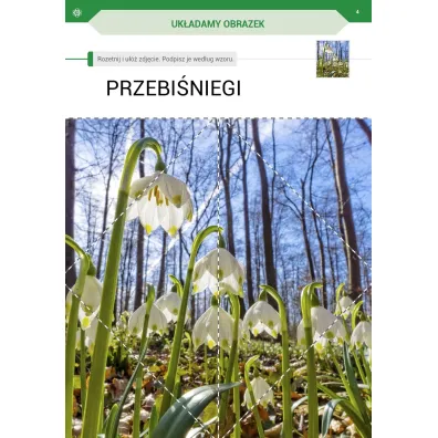 Przysz�a wiosna. Karty pracy dla I etapu nauczania uczni�w z niepe�nosprawno�ci� intelektualn� w stopniu umiarkowanym