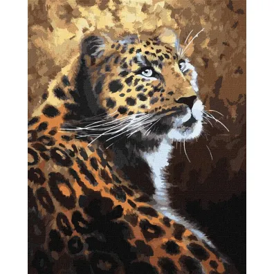 Ideyka Malowanie po numerach - Drapieznik 40x50cm