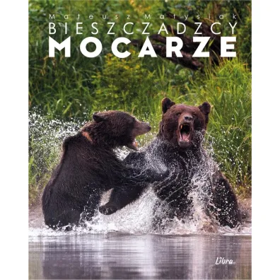 BIESZCZADZCY MOCARZE OK�ADKA Z NIED�WIEDZIAMI - Mateusz Matysiak