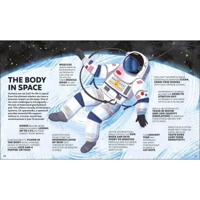 Day in the Life of Your Body