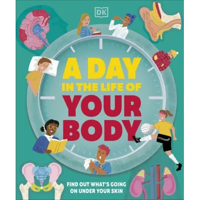Day in the Life of Your Body