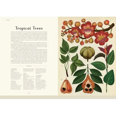 Botanicum