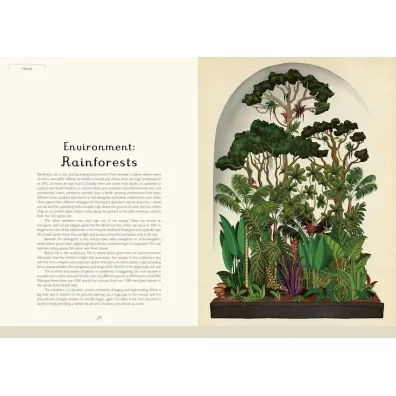 Botanicum