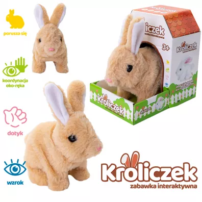Kr�liczek na baterie br�zowy Askato