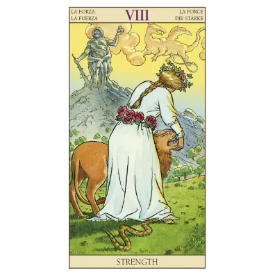 New Vision Tarot, karty do wr�enia