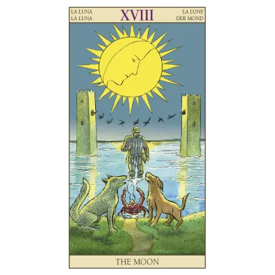 New Vision Tarot, karty do wr�enia