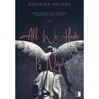 All We Have Is Now. All. Tom 1 - Heide Bergmann, Dominika  Matoga