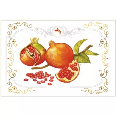 DaVinci Karnet B-BD 502 061 + koperta Granat 12x18 cm