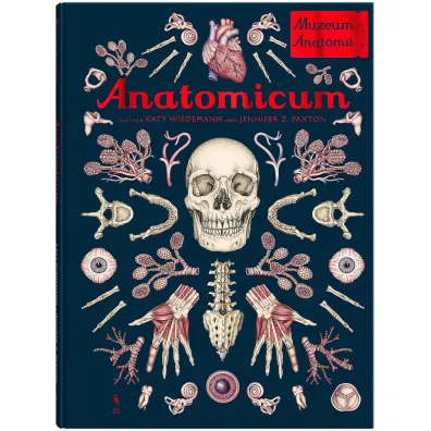 Anatomicum. Muzeum Anatomii