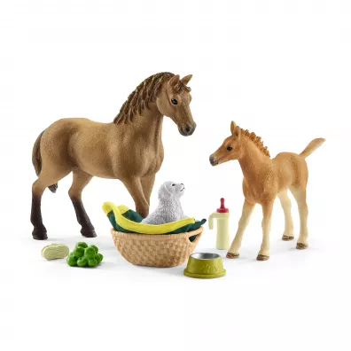 Zestaw piel�gnacyjny Quarter Horse + �rebi�
