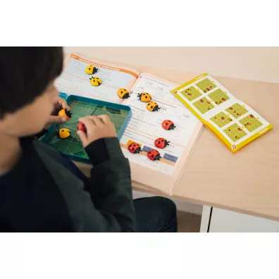 Smart Games. LogiBugs (ENG) IUVI Games