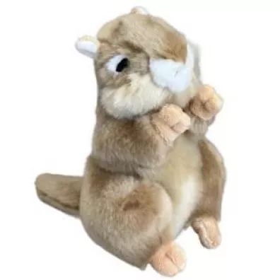 �wistak 20cm Dubi