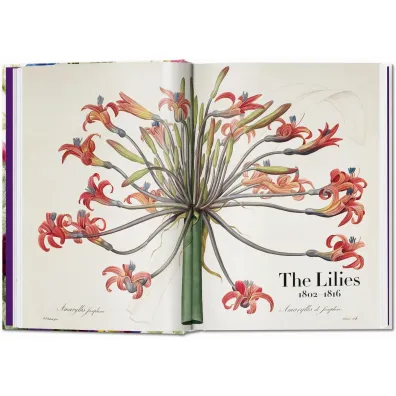 Redout�. The Book of Flowers wer. angielska