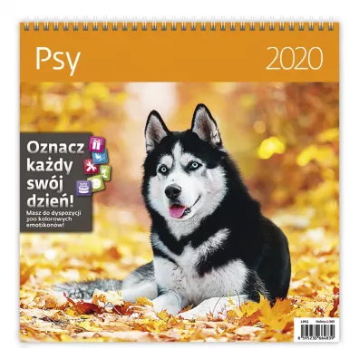 Kal 2020 Psy 30x30