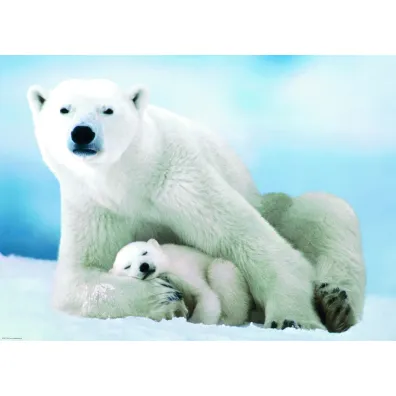 Puzzle 1000 el. Nied�wied� polarny i dziecko Eurographics
