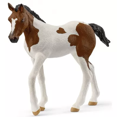rebak rasy Paint Horse