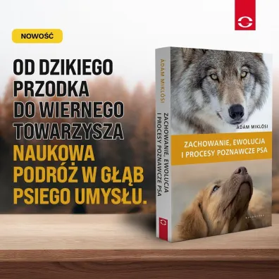 Zachowanie, ewolucja i procesy poznawcze psa