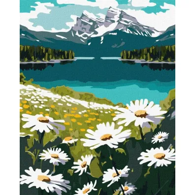 Ideyka Malowanie po numerach - Kwitn�ce stokrotki 40x50cm