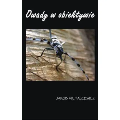 Owady w obiektywie TW - Jakub Michalcewicz