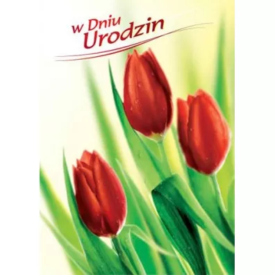 Art Nuvo Karnet B6 Kwiaty - W dniu urodzin