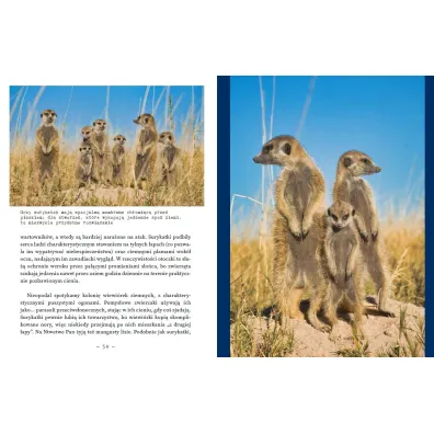 Botswana Przez delt� Okawango i piaski Kalahari
