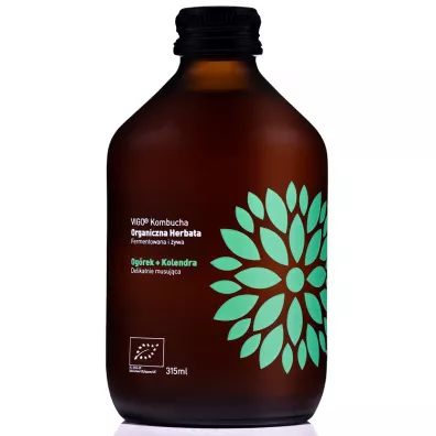 Vigo Yoko Kombucha z ogrkiem i kolendr bezglutenowa 315 ml Bio