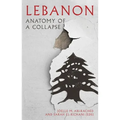 Lebanon. Anatomy of a Collapse - Joelle M Abi-Rached