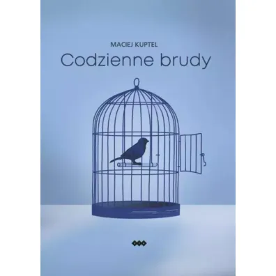 Codzienne brudy - Maciej  Kuptel