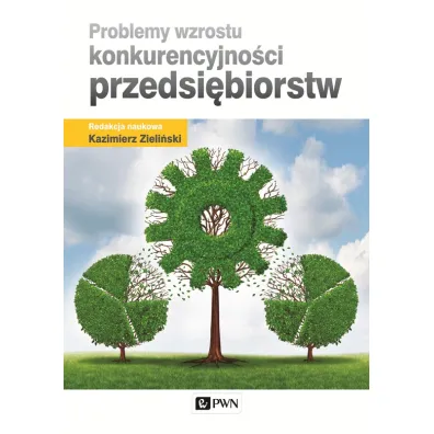 Problemy wzrostu konkurencyjno�ci przedsi�biorstw - Kazimierz Zieli�ski