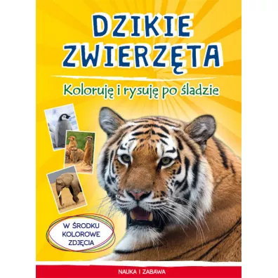 Dzikie zwierz�ta Koloruj� i rysuj� po �ladzie - Monika My�lak
