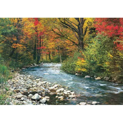 Puzzle 1000 el. Le�ny strumie� Eurographics