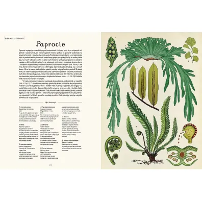 Botanicum. Muzeum Ro�lin