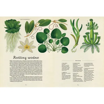 Botanicum. Muzeum Ro�lin