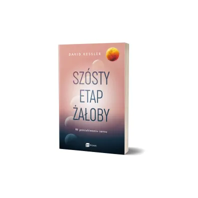 Sz�sty etap �a�oby. W poszukiwaniu sensu