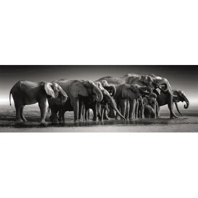 Puzzle 1000 el. Panorama - Herd Of Giants Clementoni