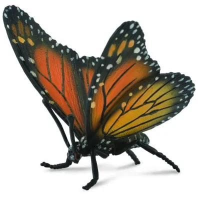 Motyl kr�lewski