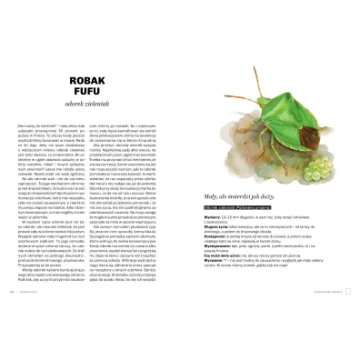 G�upie robaki i inne takie Polski
