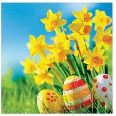 Paw Serwetki Lunch Tete a Tete Eggs Among Daffodills 33x33 20szt./op.