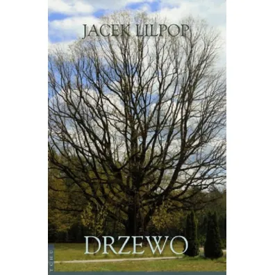 Drzewo - Jacek Lilpop