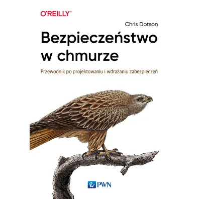Bezpiecze�stwo w chmurze - Chris  Dotson