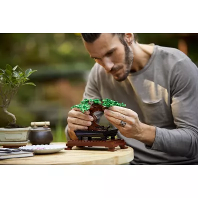 LEGO ICONS Drzewko bonsai 10281