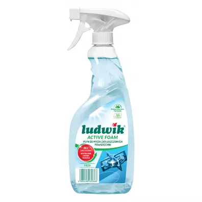 Ludwik Pyn do mycia zatuszczonych powierzchni Active Foam Fresh 600 ml