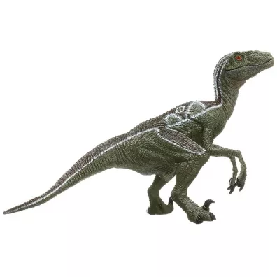 Velociraptor