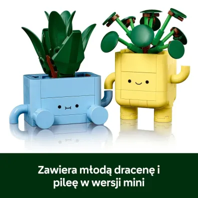 LEGO Botanicals Weso�e ro�linki 10349