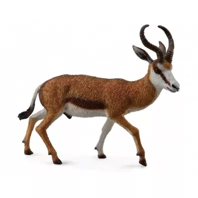 Kozio� Springbok